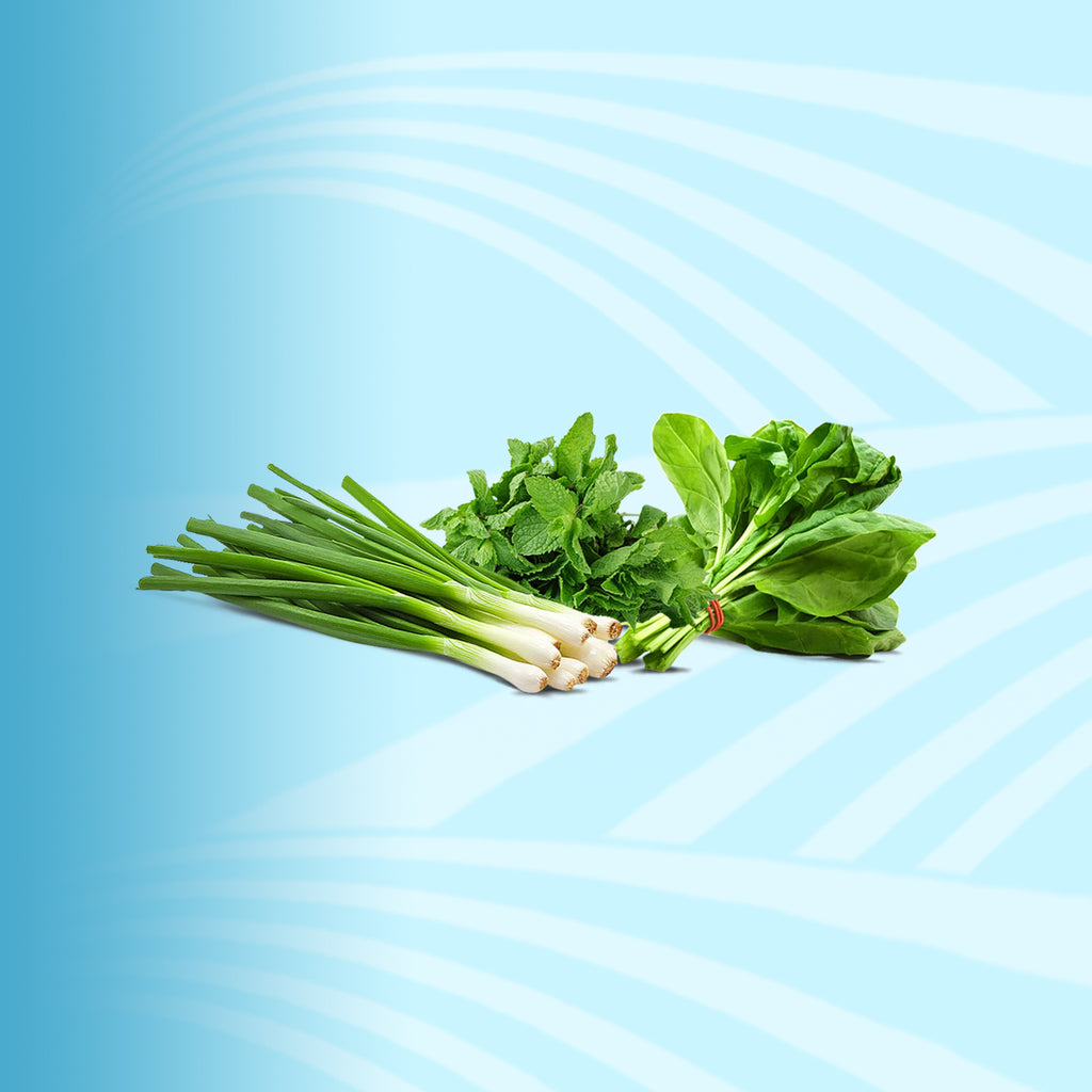 Herbs - 2kShopping.com - Grocery | Health | Technology