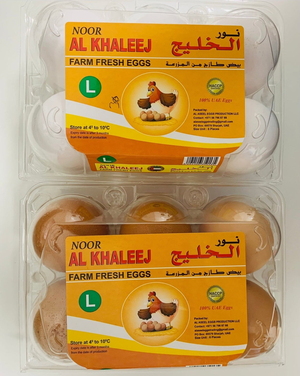 Noor Al Khaleej Eggs Large White 6pcs | نور الخليج بيض حجم كبير - 2kShopping