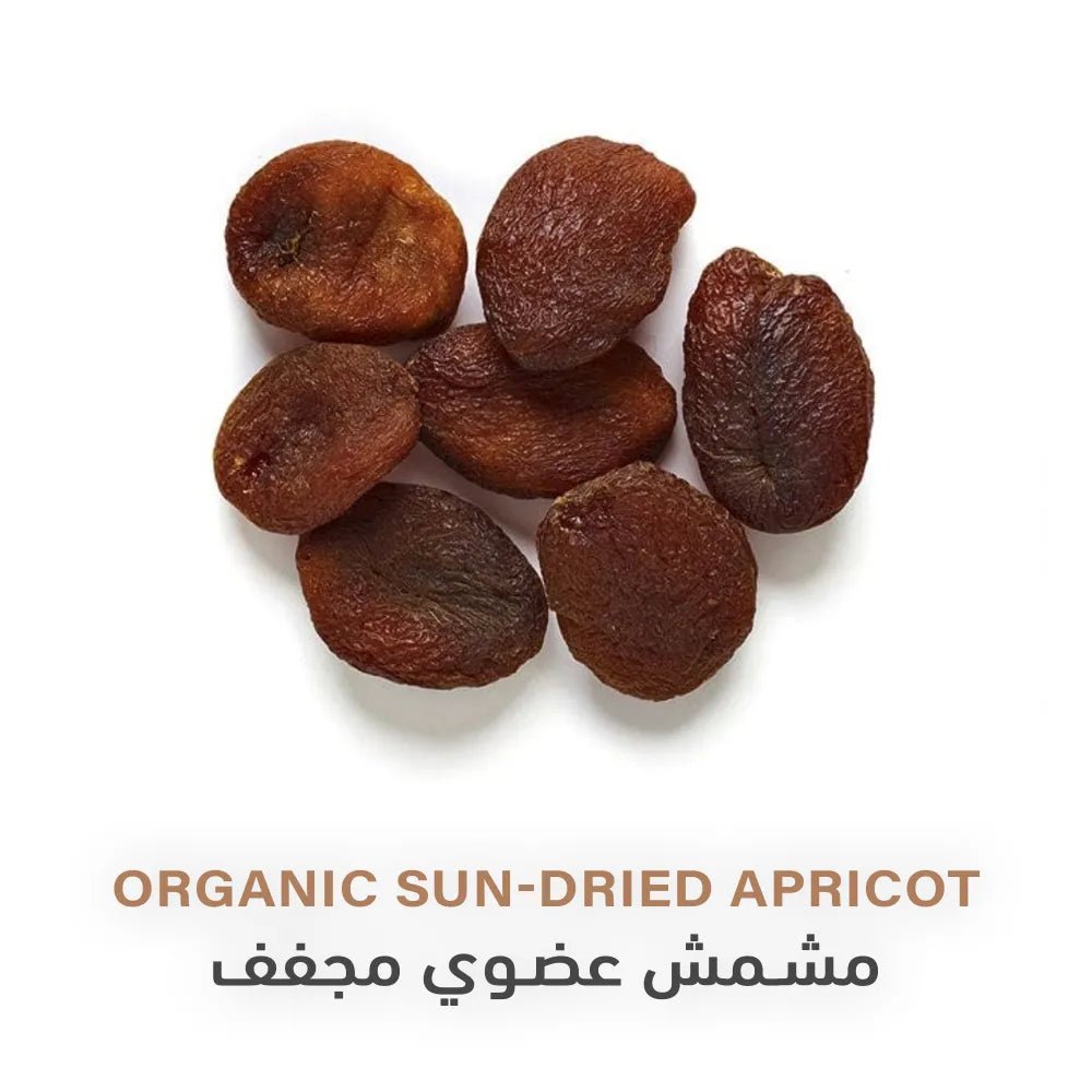Holistic Corner Organic Sun - dried Apricot 100g | مشمش عضوي مجفف - 2kShopping