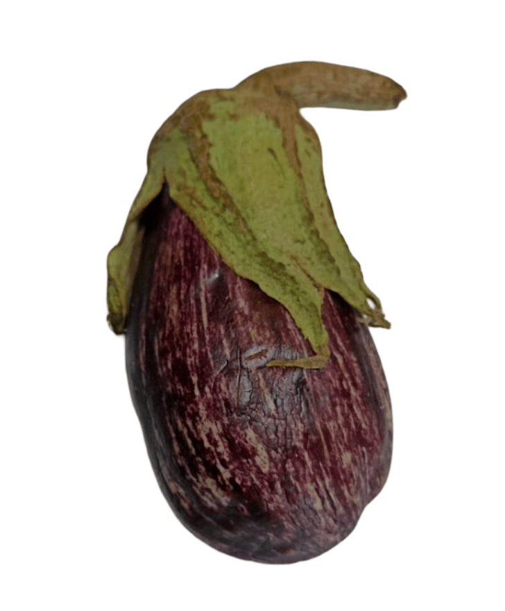 Eggplant Small Round Syria 1Kg | باذنجان صغير مدور سوري - 2kShopping