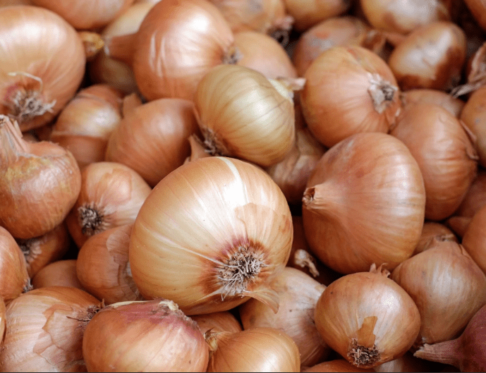 Onions Brown UAE 1Kg | بصل بني محلي - 2kShopping