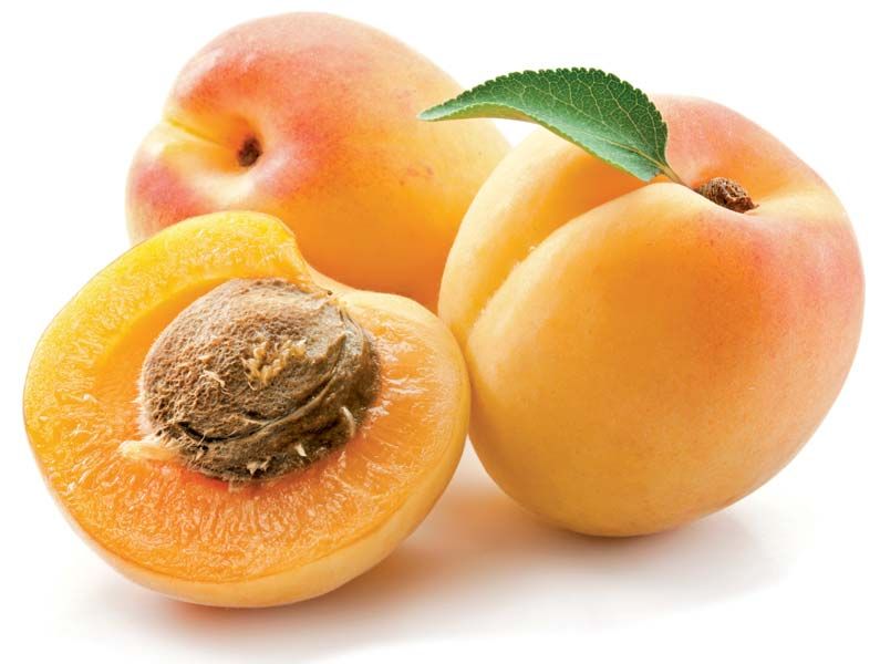 Apricot Jordan Pack Approx:500g | مشمش أردني - 2kShopping