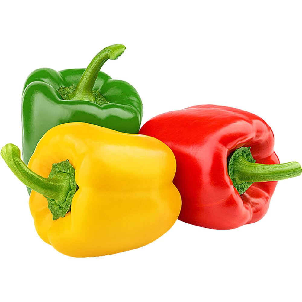 Capsicum Assorted Jordan Pack of 3pcs