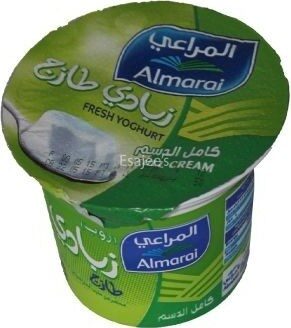 Almarai Zabadi Full Fat 100g | المراعي زبادي كامل الدسم