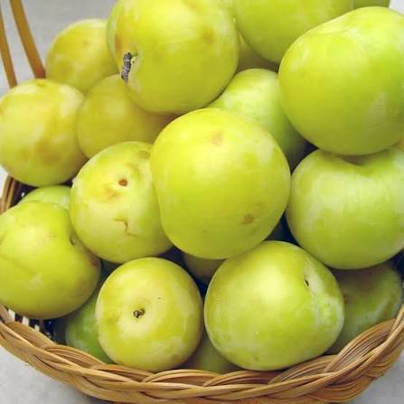 Green Plums Lebanon Pack Approx 1.2kg | خوخ أخضر لبناني
