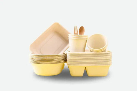 Disposable Tableware - 2kShopping