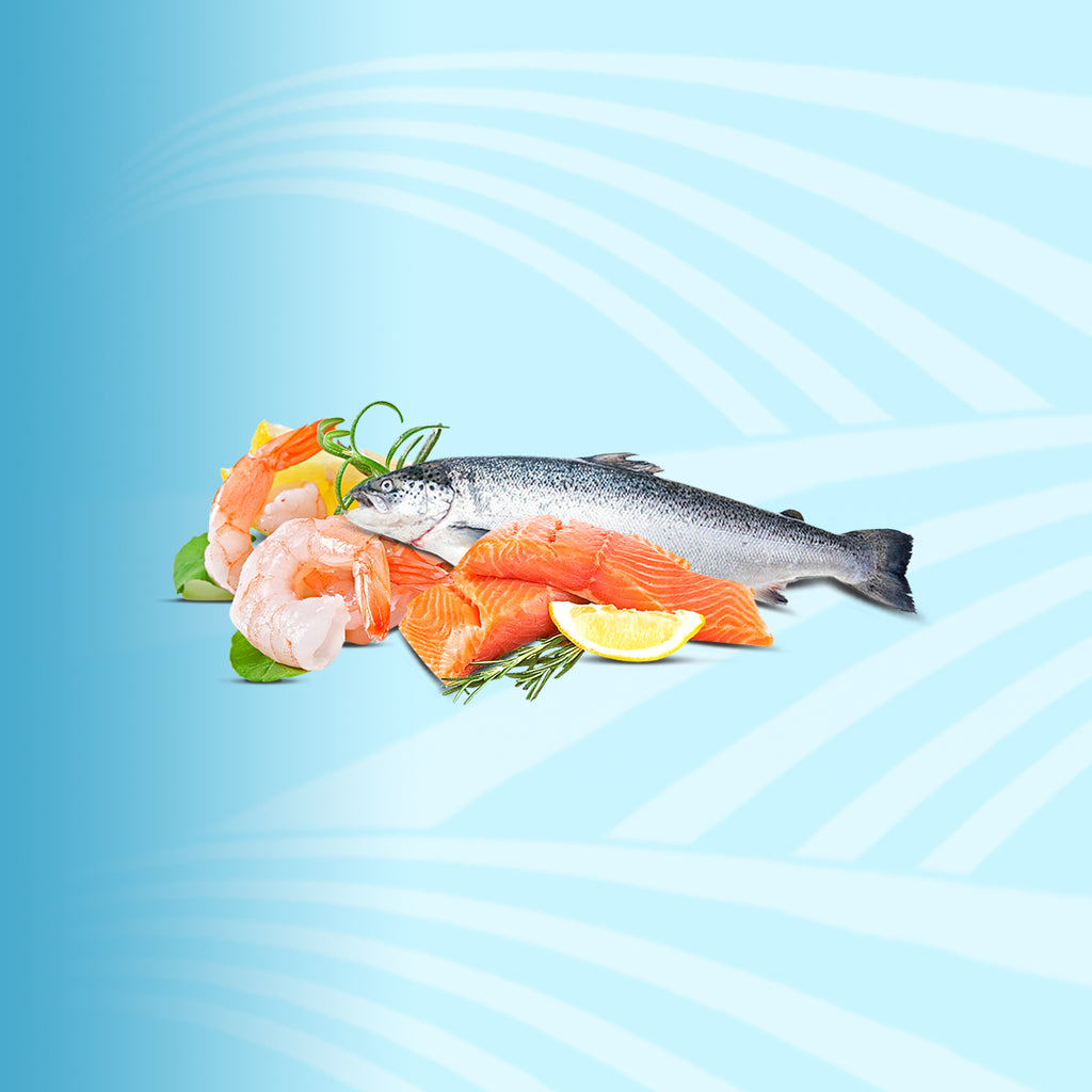 Fresh Fish & Sea Food - 2kShopping.com - Grocery | Health | Technology