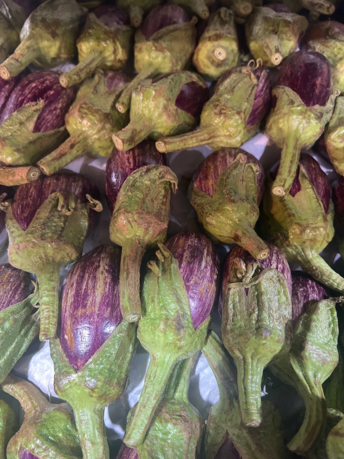 Eggplant Small Round Syria 1Kg | باذنجان صغير مدور سوري - 2kShopping