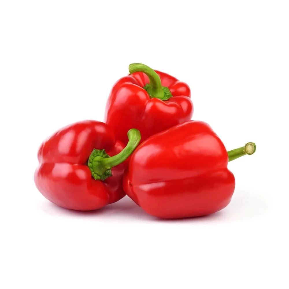 Capsicum Green Jordan 1Kg | فليفلة خضراء أردنية