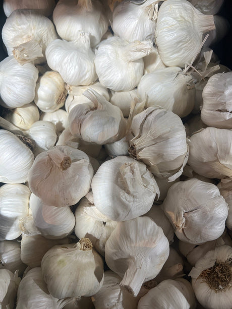 Garlic Syria 500g | ثوم سوري - 2kShopping