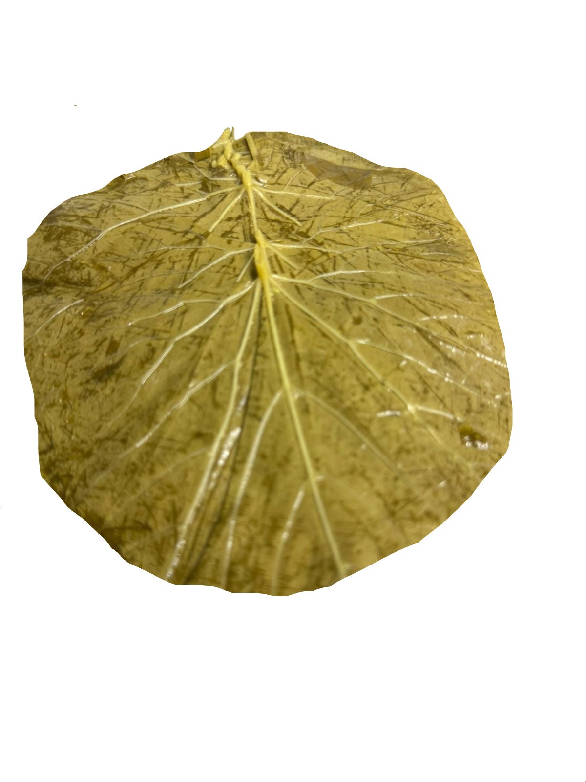 Asayel Al Sham Grape Leaves Tank 4kg | أصايل الشام ورق عنب - 2kShopping