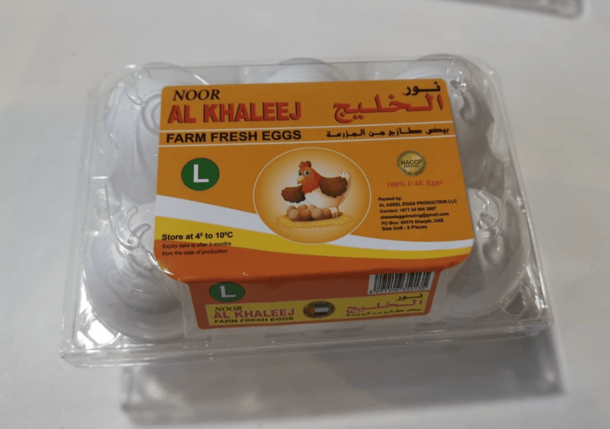 Noor Al Khaleej Eggs Large White 6pcs | نور الخليج بيض حجم كبير - 2kShopping