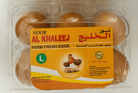 Noor Al Khaleej Eggs Large Brown 6pcs | نور الخليج بيض حجم كبير - 2kShopping