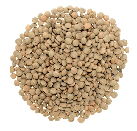 Syrian Green Lentils 1Kg | عدس اخضر سوري - 2kShopping
