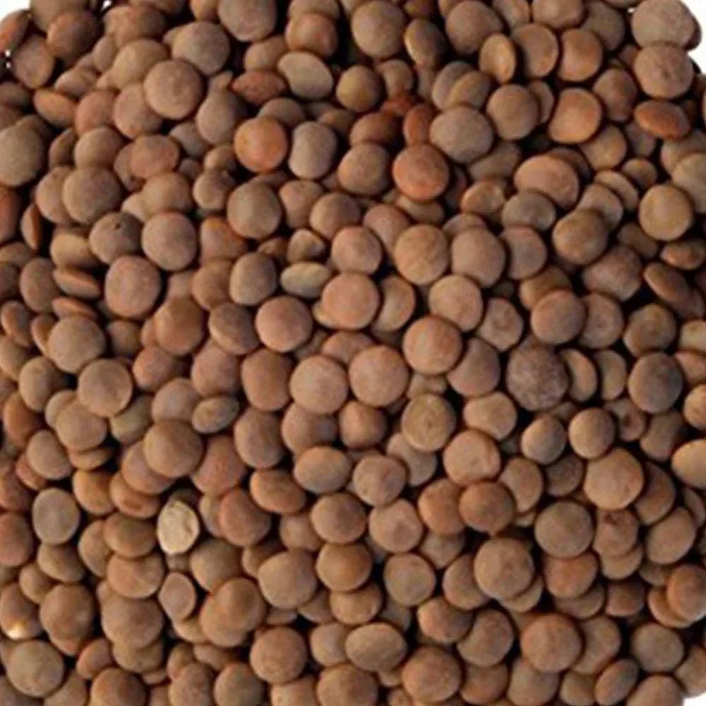 Syrian Brown Lentils 1Kg | عدس بني سوري - 2kShopping