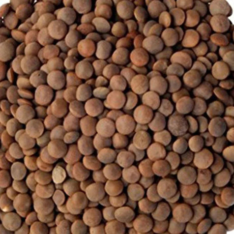 Syrian Brown Lentils 1Kg | عدس بني سوري - 2kShopping