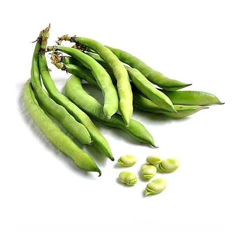 Broad Beans Syria 1 kg | فول اخضر سوري - 2kShopping