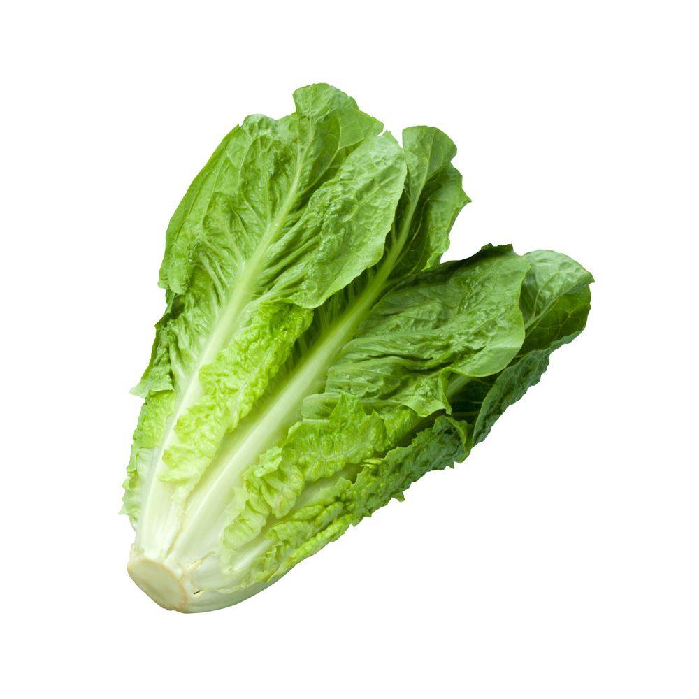 Lettuce UAE 1 piece (400 - 600g) | خس محلي - 2kShopping