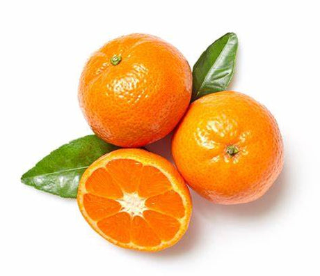 Clementine Africa 1Kg | كلمنتينا أفريقي - 2kShopping