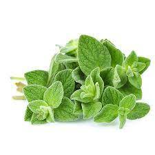 Fresh Thyme Jordan 1Kg | زعتر اخضر اردني - 2kShopping