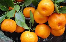Mandarin Spain 1kg