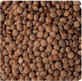 Madanli Brown Lentils 1Kg | معدنلي عدس بني - 2kShopping