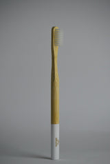 PLANTAUNIVERSE Bamboo Toothbrush - 2kShopping