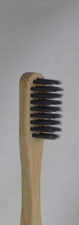 PLANTAUNIVERSE Bamboo Toothbrush - 2kShopping