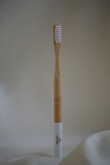 PLANTAUNIVERSE Bamboo Toothbrush - 2kShopping