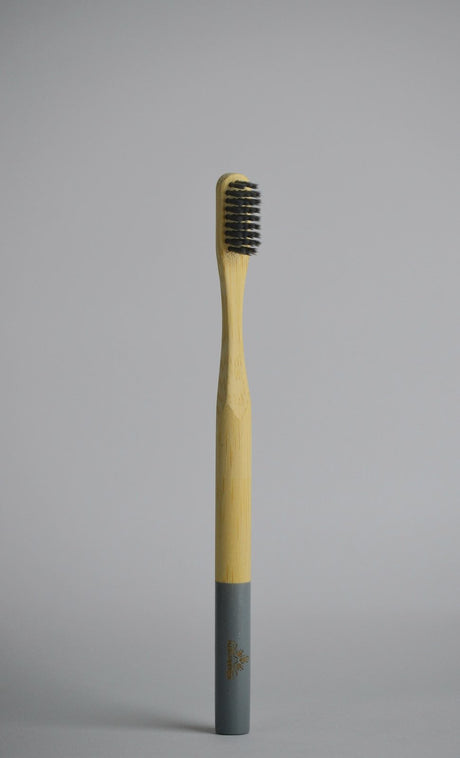PLANTAUNIVERSE Bamboo Toothbrush - 2kShopping