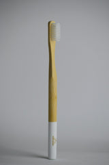 PLANTAUNIVERSE Bamboo Toothbrush - 2kShopping