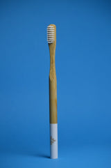 PLANTAUNIVERSE Bamboo Toothbrush - 2kShopping