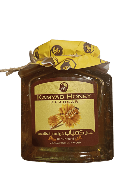 Kamyab Natural Honey 450g - 2kShopping