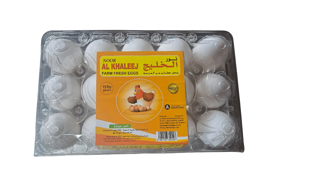 Noor Al Khaleej Eggs Large White 15pcs | نور الخليج بيض حجم كبير - 2kShopping