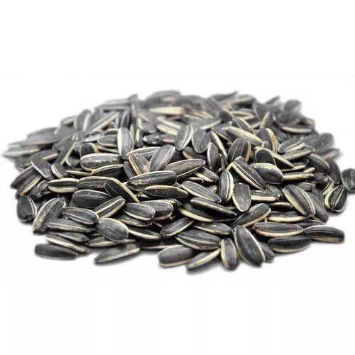 Sunflower Seeds Roasted Salt 250g | بذور دوار الشمس المحمصة - 2kShopping