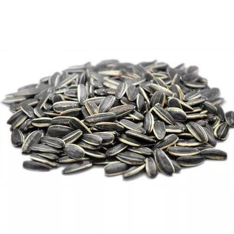 Sunflower Seeds Roasted Salt 250g | بذور دوار الشمس المحمصة - 2kShopping