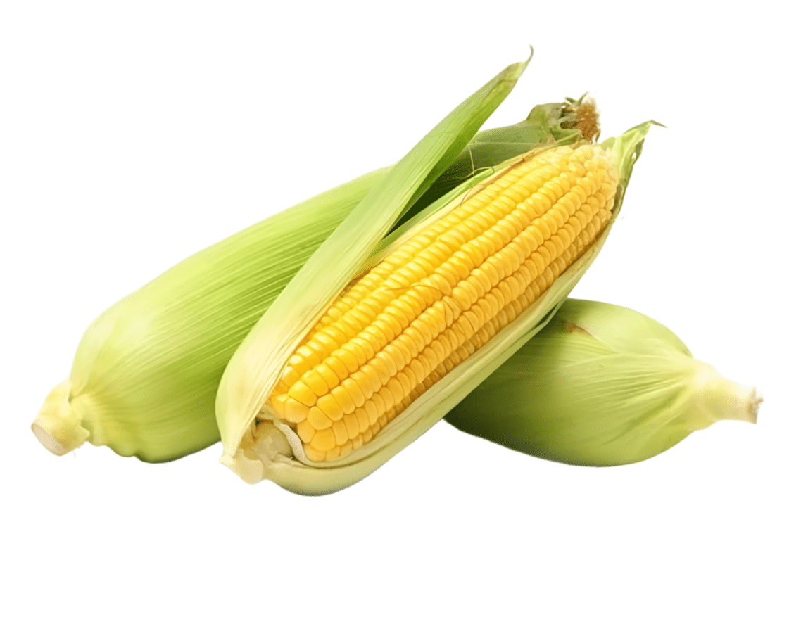 Sweet Corn UAE 500g | ذرة حلوة محلية - 2kShopping