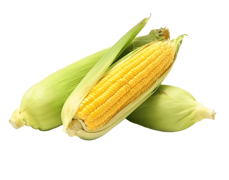 Sweet Corn UAE 500g | ذرة حلوة محلية - 2kShopping