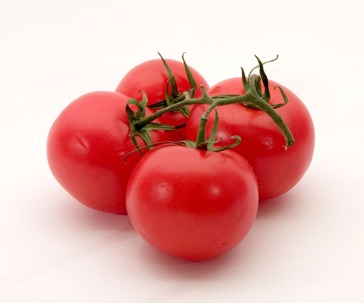Tomato Netherlands 1kg | طماطم هولندي - 2kShopping