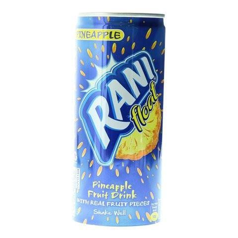 Rani Float Pineapple Fruit Drink with Real Fruit Pieces 240ml - 2kShopping.com - Grocery | Health | Technology