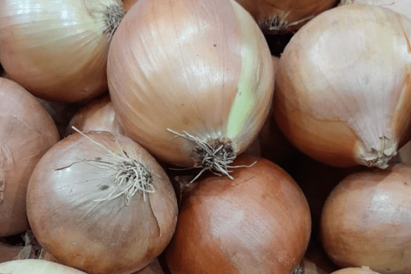 Brown Onion Spain 1Kg | بصل بني إسباني - 2kShopping