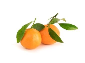 Clementine Syria Offer 3Kg@ 10Aed | كلمنتينا سوري - 2kShopping