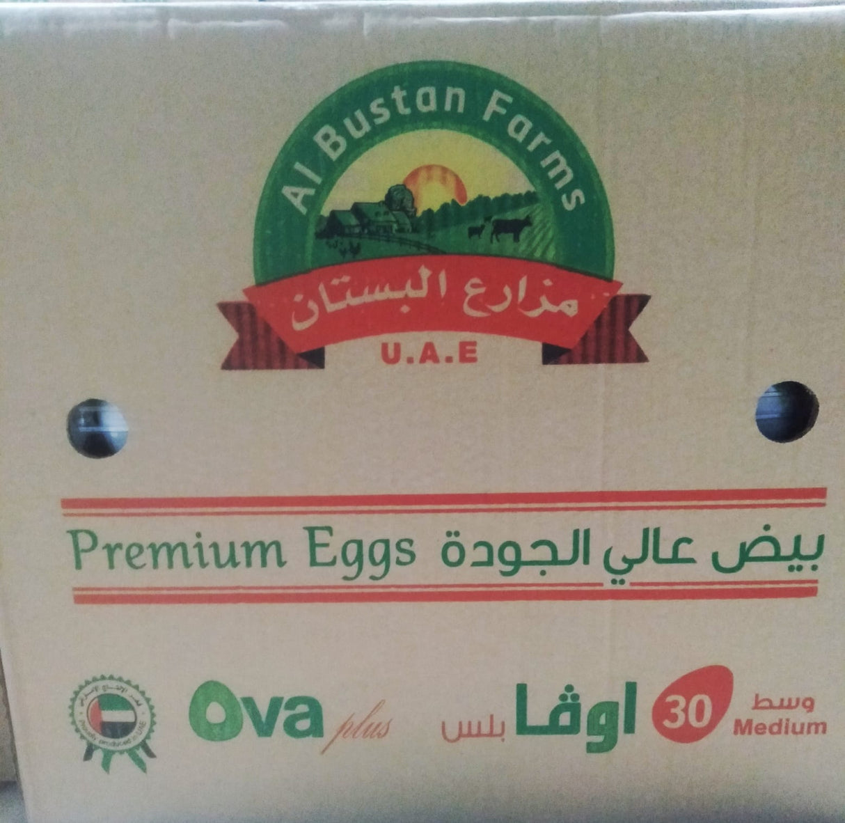 Ova Plus Medium White 30 Eggs x 12 Trays | أوفا بلس بيض